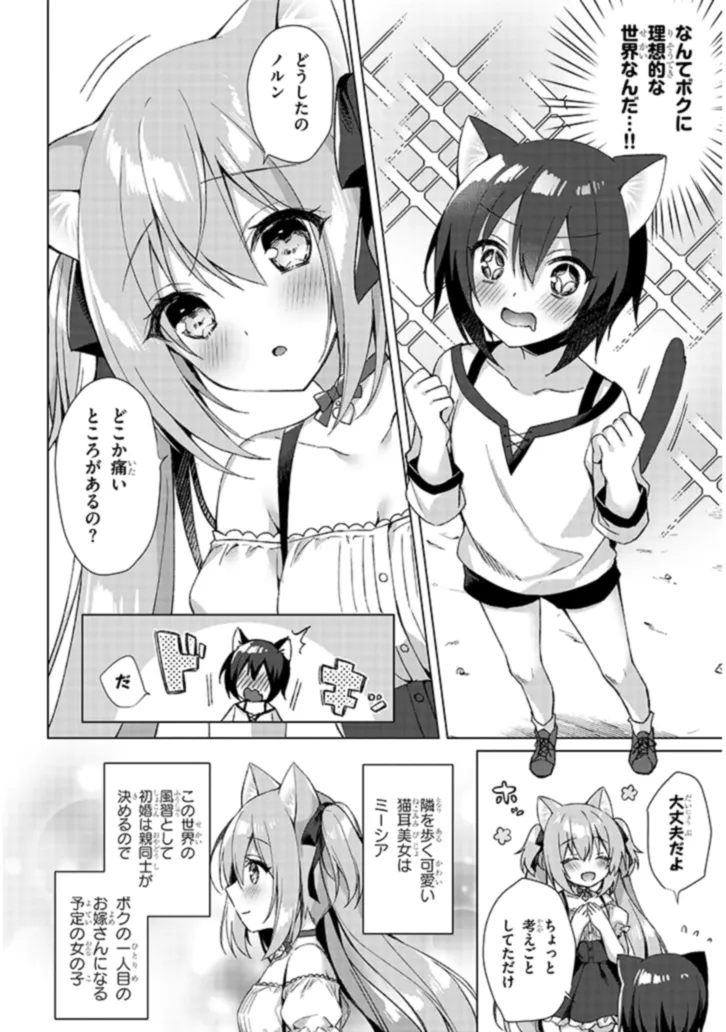 Boku no Risou no Isekai Seikatsu - Tensei shitara Kemomimi Musume Darake no Sekai de Harem ni Chapter 1 12ページ