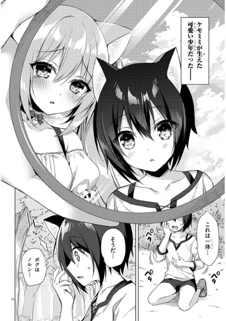 Boku no Risou no Isekai Seikatsu - Tensei shitara Kemomimi Musume Darake no Sekai de Harem ni Chapter 1 10ページ