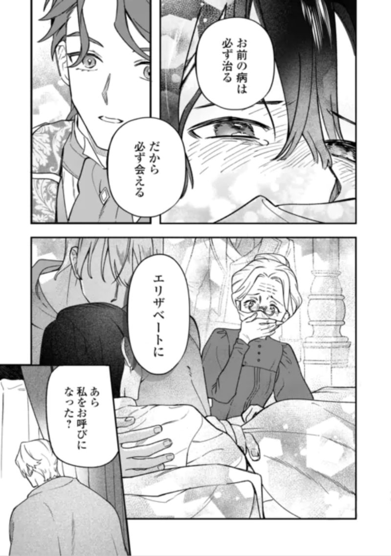 Akuyaku Reijo ni One ga Tensei shitakedo Nanimo Mondai ga Naiken Chapter 12 5ページ