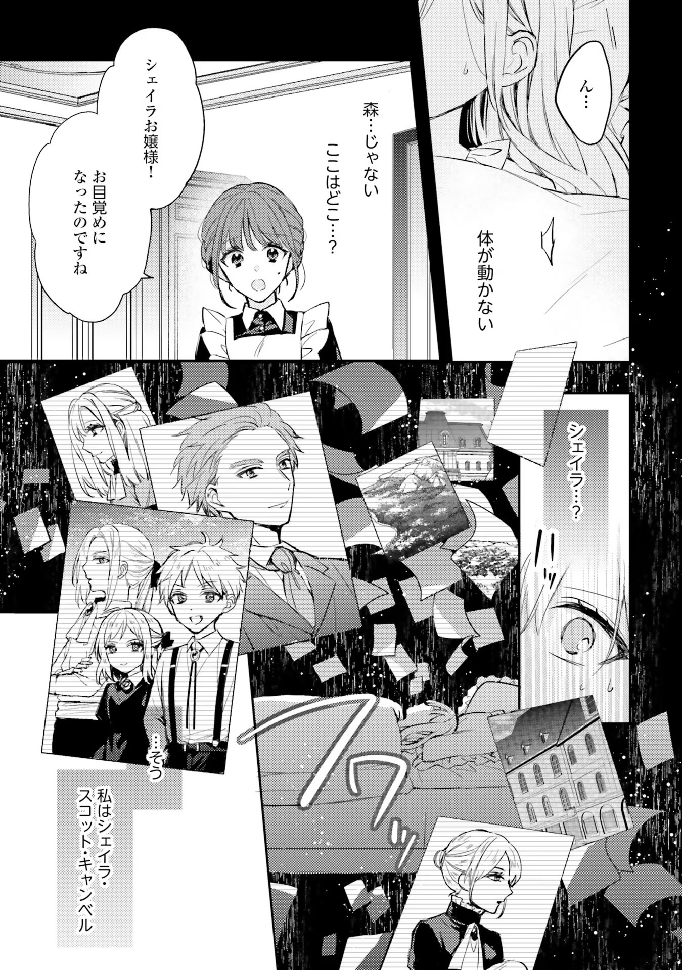 100-nen Go ni Tensei Shita Watashi, Zense no Joukishi ni Kyuukonsaremashita Chapter 1 3ページ