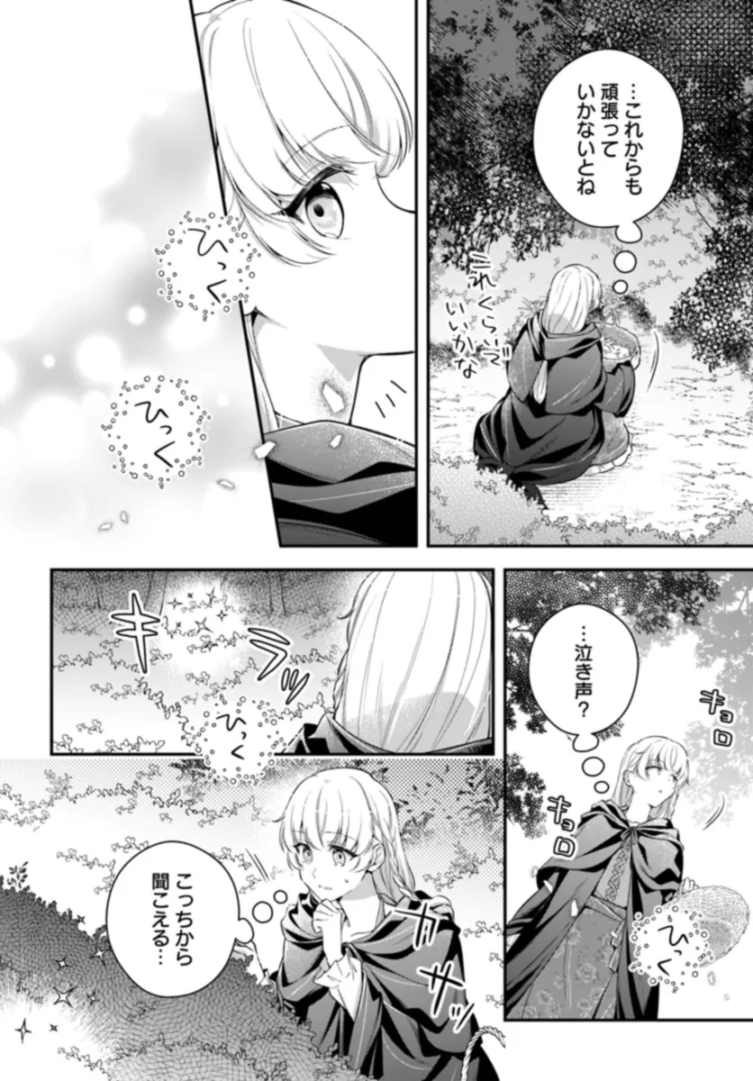 Miryou no Otome to Katabutsu Hittou Majutsushi no Hatsukoi Kiroku Chapter 1.1 8ページ