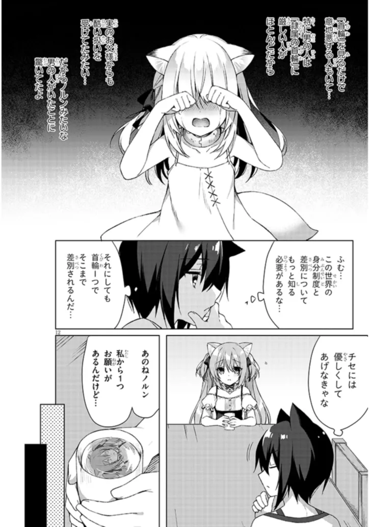 Boku no Risou no Isekai Seikatsu - Tensei shitara Kemomimi Musume Darake no Sekai de Harem ni Chapter 3.1 12ページ
