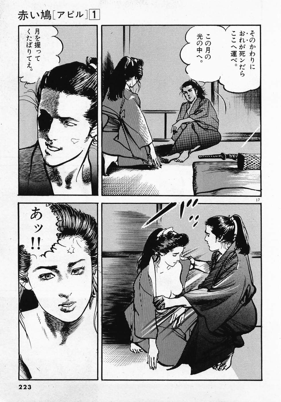 Akai Hato - Apiru Chapter 11 17ページ