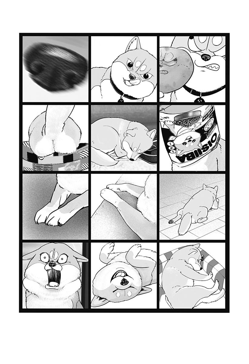 Shiba-Tsuki Bukken Chapter 29.5 10ページ