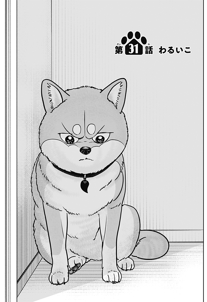 Shiba-Tsuki Bukken Chapter 31 9ページ