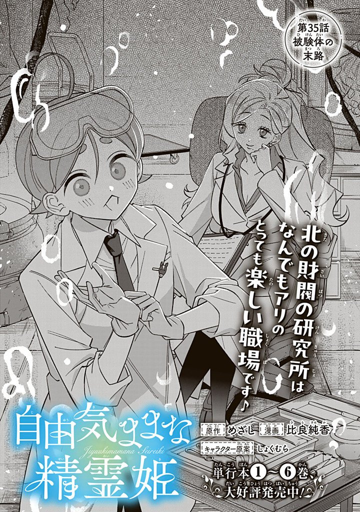 Jiyuu Kimama na Seireihime Chapter 35.1 1ページ
