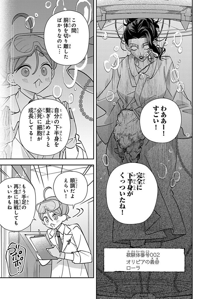 Jiyuu Kimama na Seireihime Chapter 35.2 3ページ