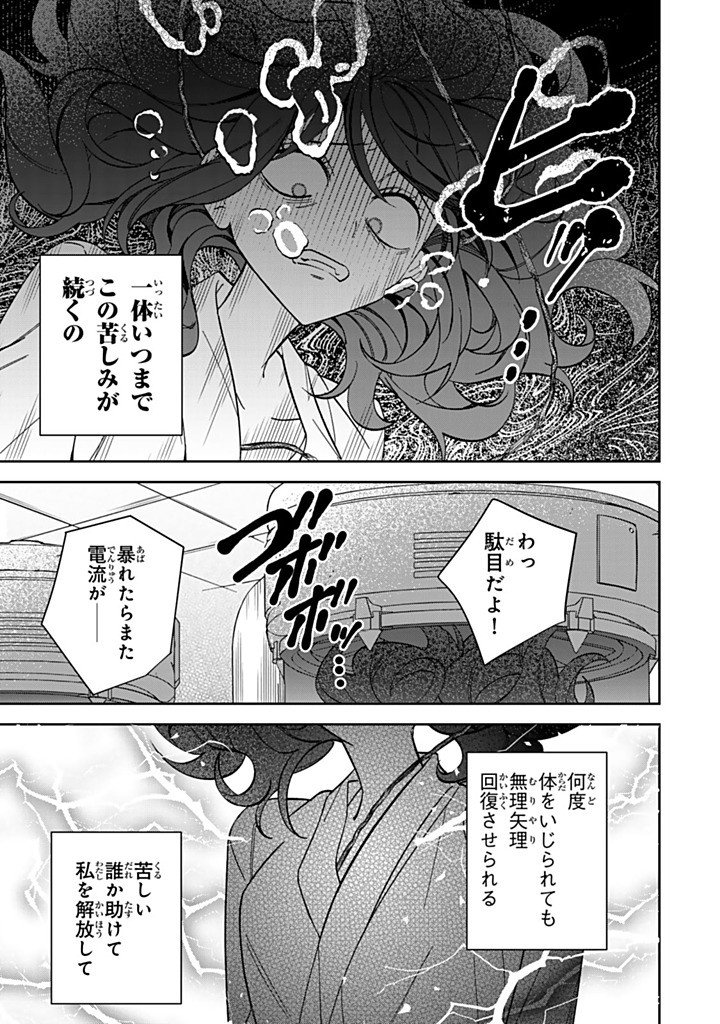 Jiyuu Kimama na Seireihime Chapter 35.2 7ページ