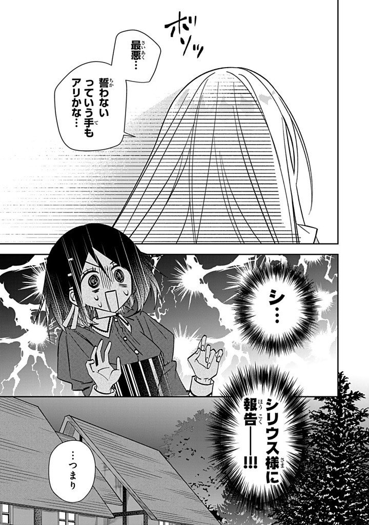 Jiyuu Kimama na Seireihime Chapter 36.3 5ページ