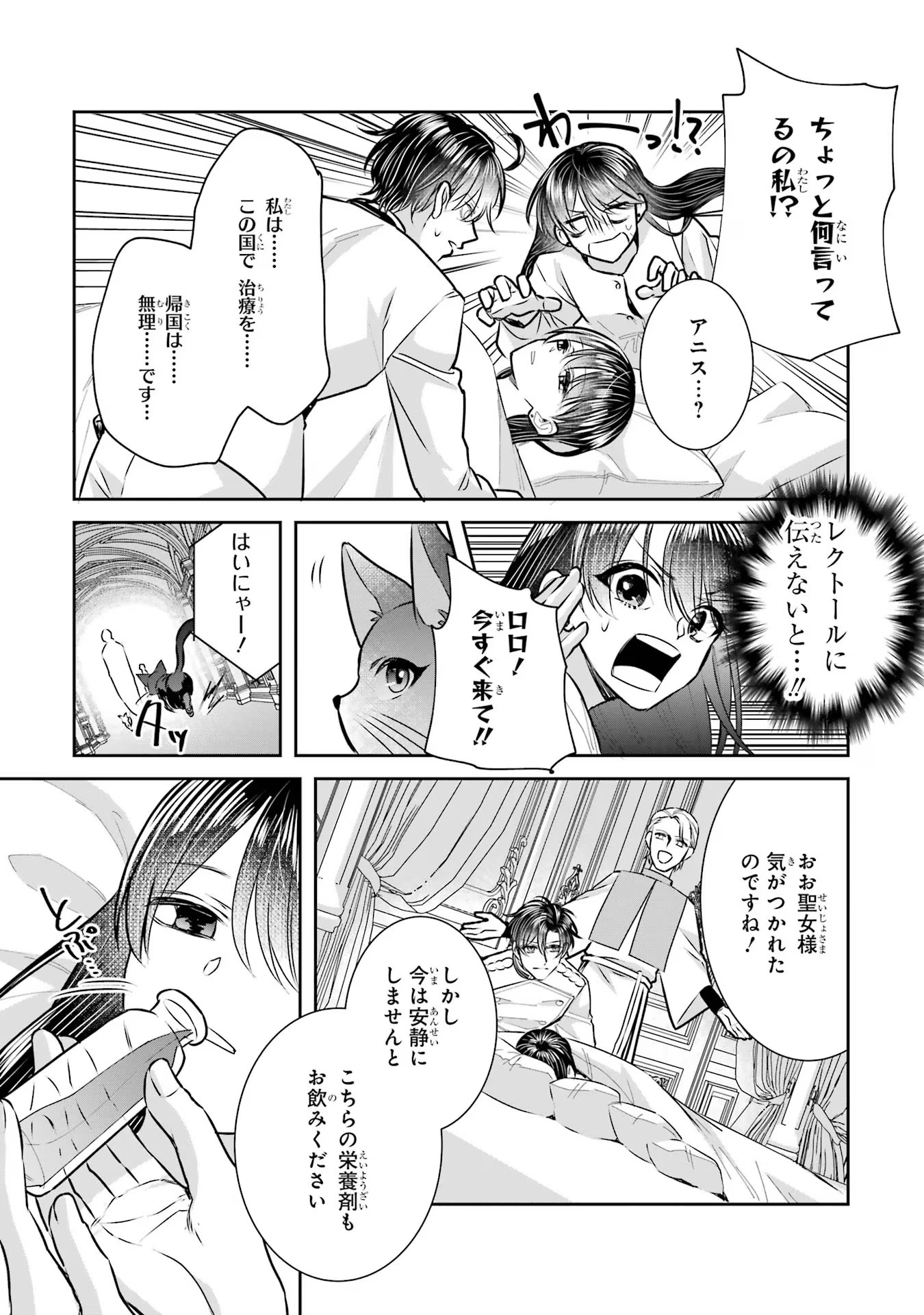 Seijo no hazu ga, Douyara Nottoraremashita Chapter 31 27ページ