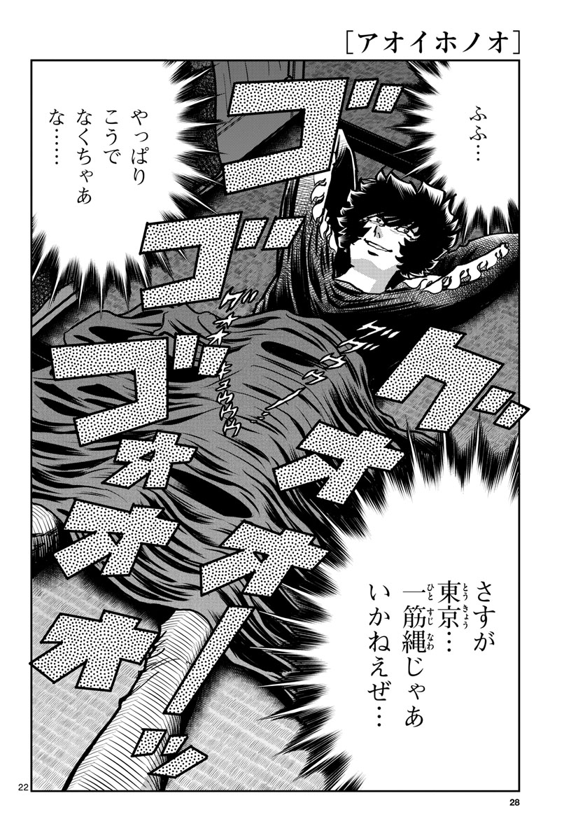 Aoi Honoo Chapter 144 22ページ