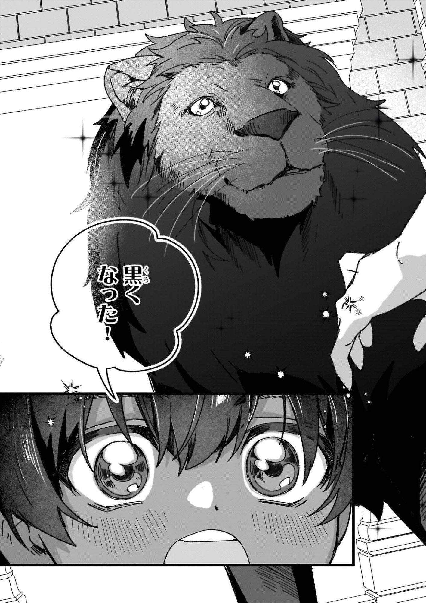 Rekishi ni Nokoru Akujo ni Naru zo - Akuyaku Reijou ni Naru Hodo Ouji no Dekiai wa Kasoku Suru you desu! Chapter 34 13ページ