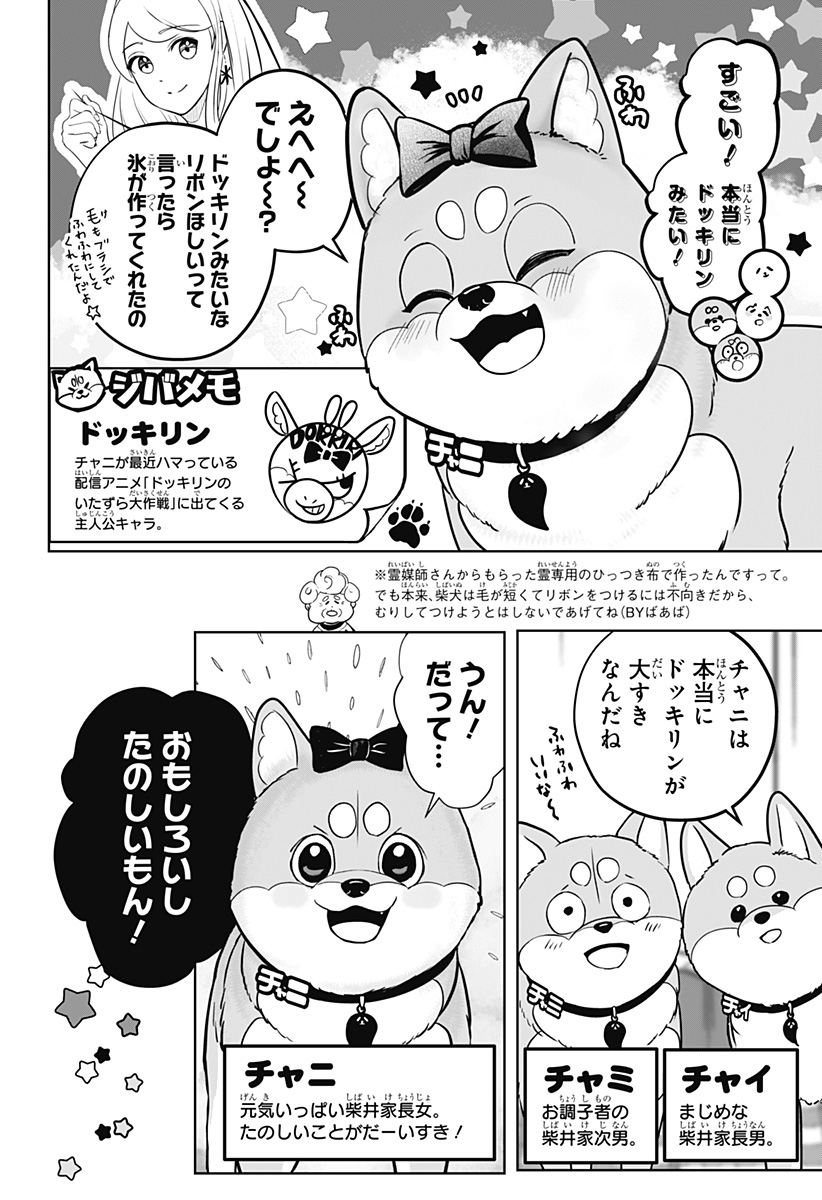 Shiba-Tsuki Bukken Chapter 33 2ページ