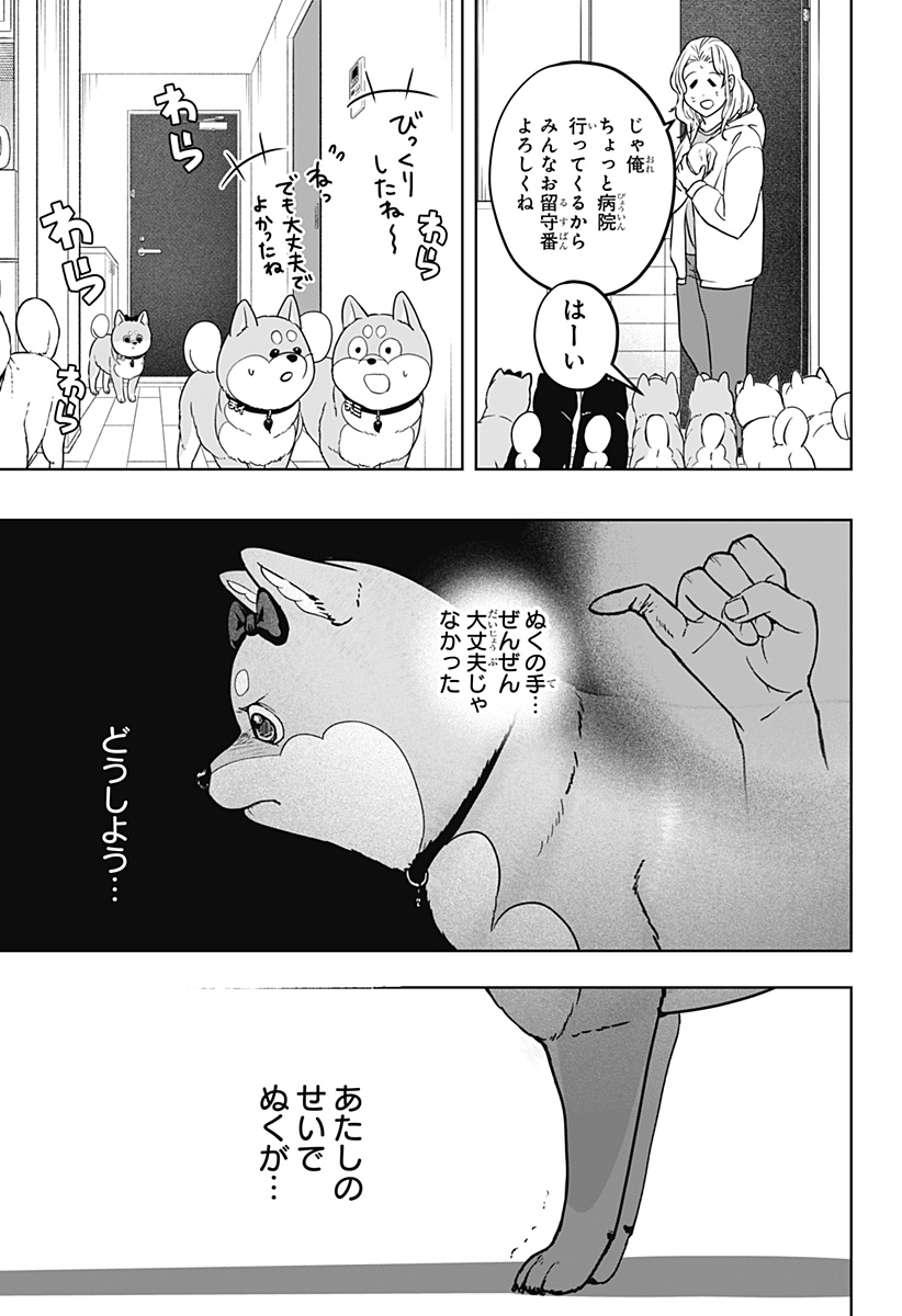 Shiba-Tsuki Bukken Chapter 33 13ページ
