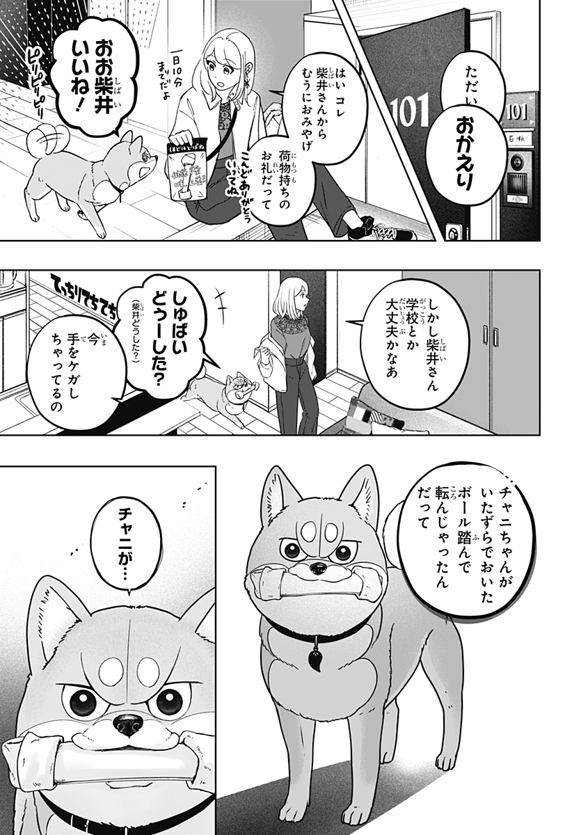 Shiba-Tsuki Bukken Chapter 33 15ページ