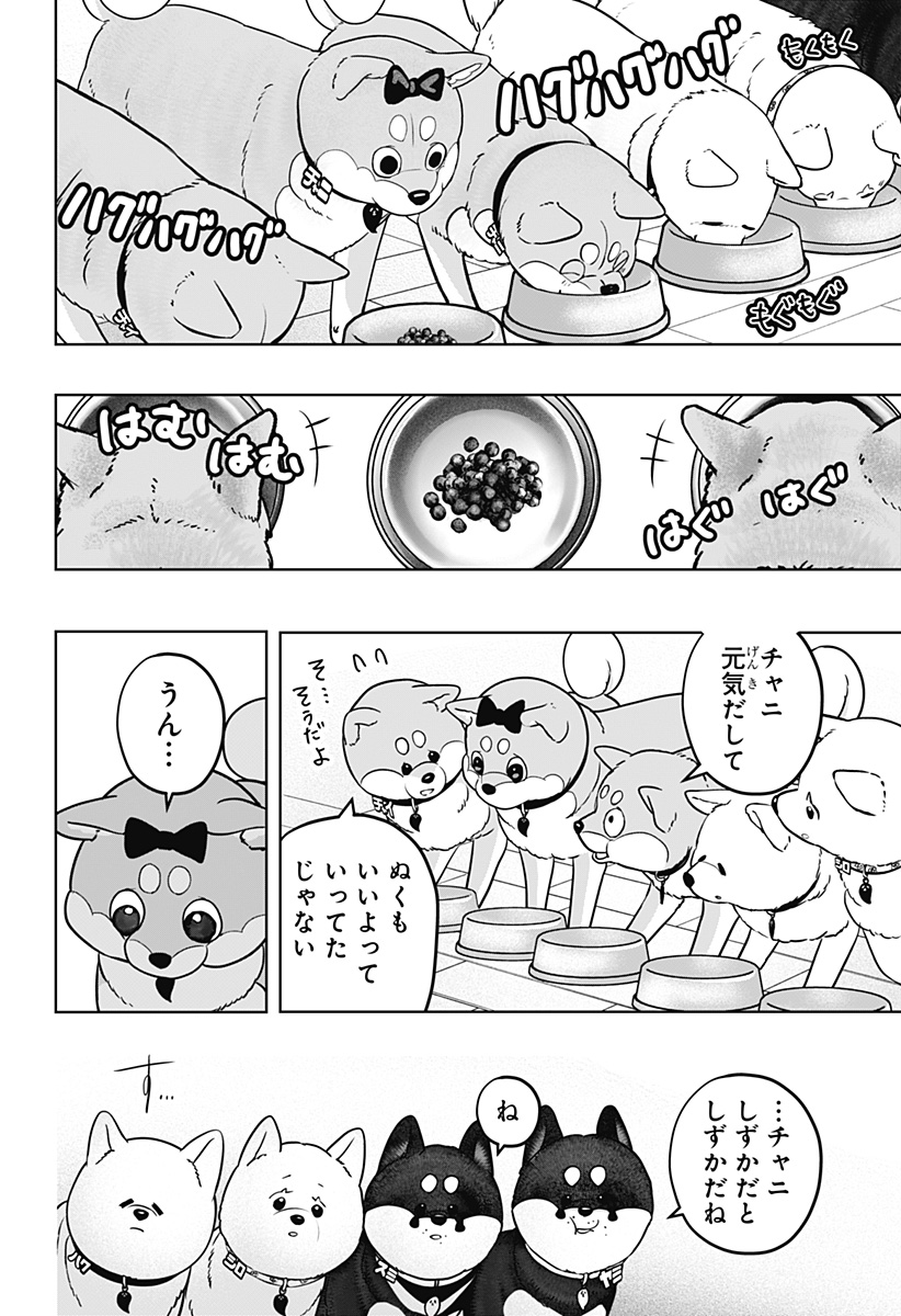 Shiba-Tsuki Bukken Chapter 33 16ページ