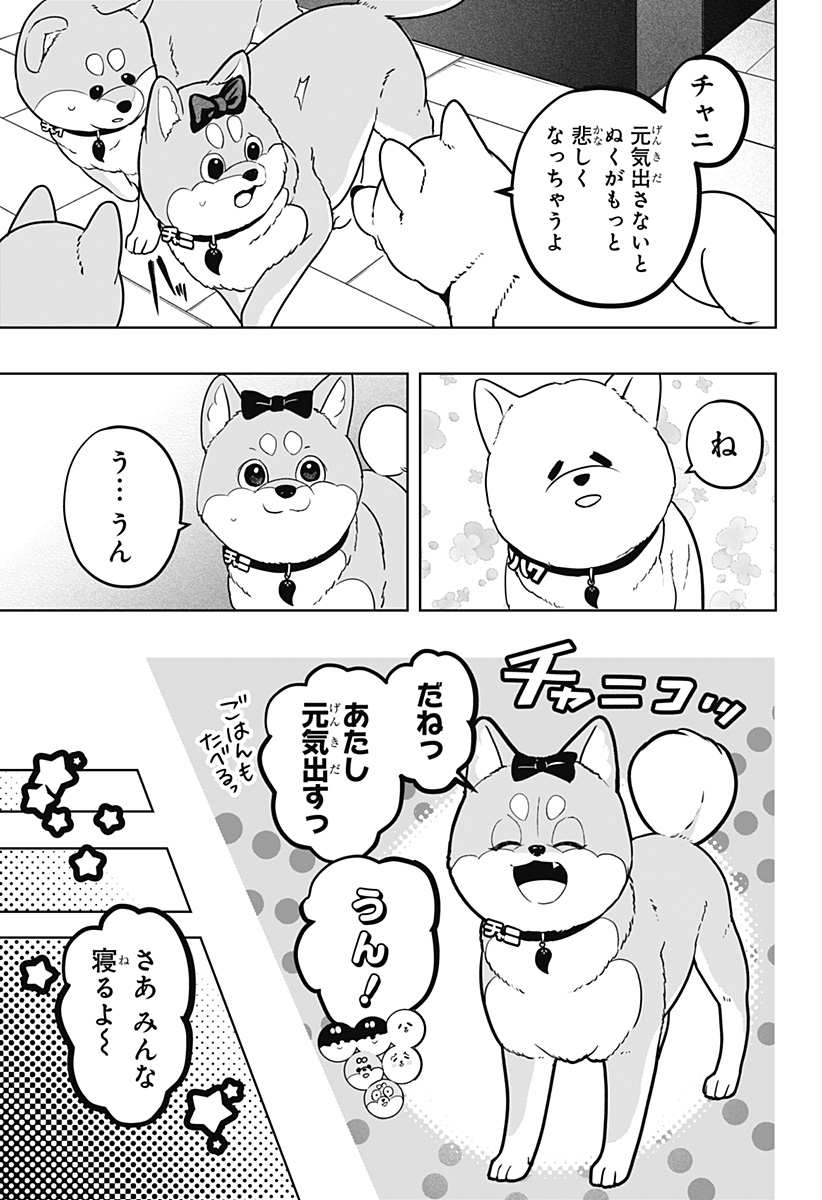 Shiba-Tsuki Bukken Chapter 33 17ページ