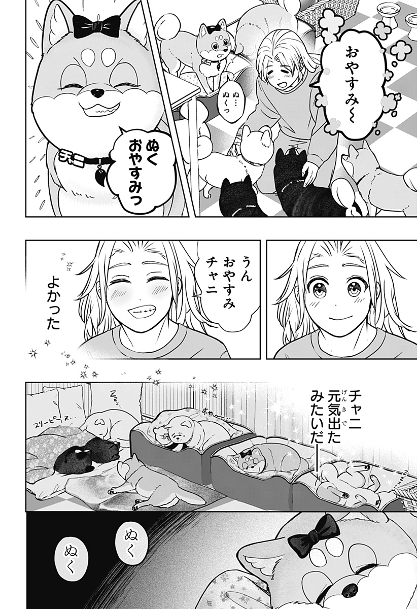 Shiba-Tsuki Bukken Chapter 33 18ページ