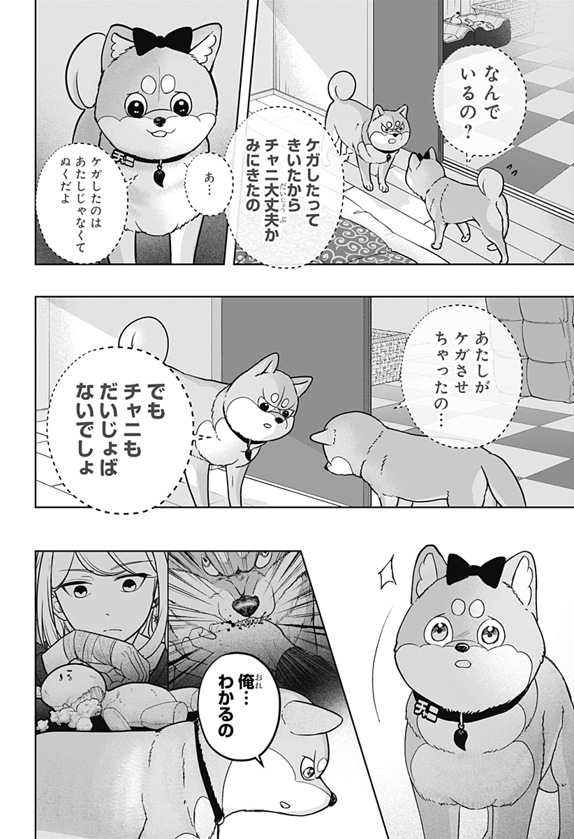Shiba-Tsuki Bukken Chapter 33 22ページ