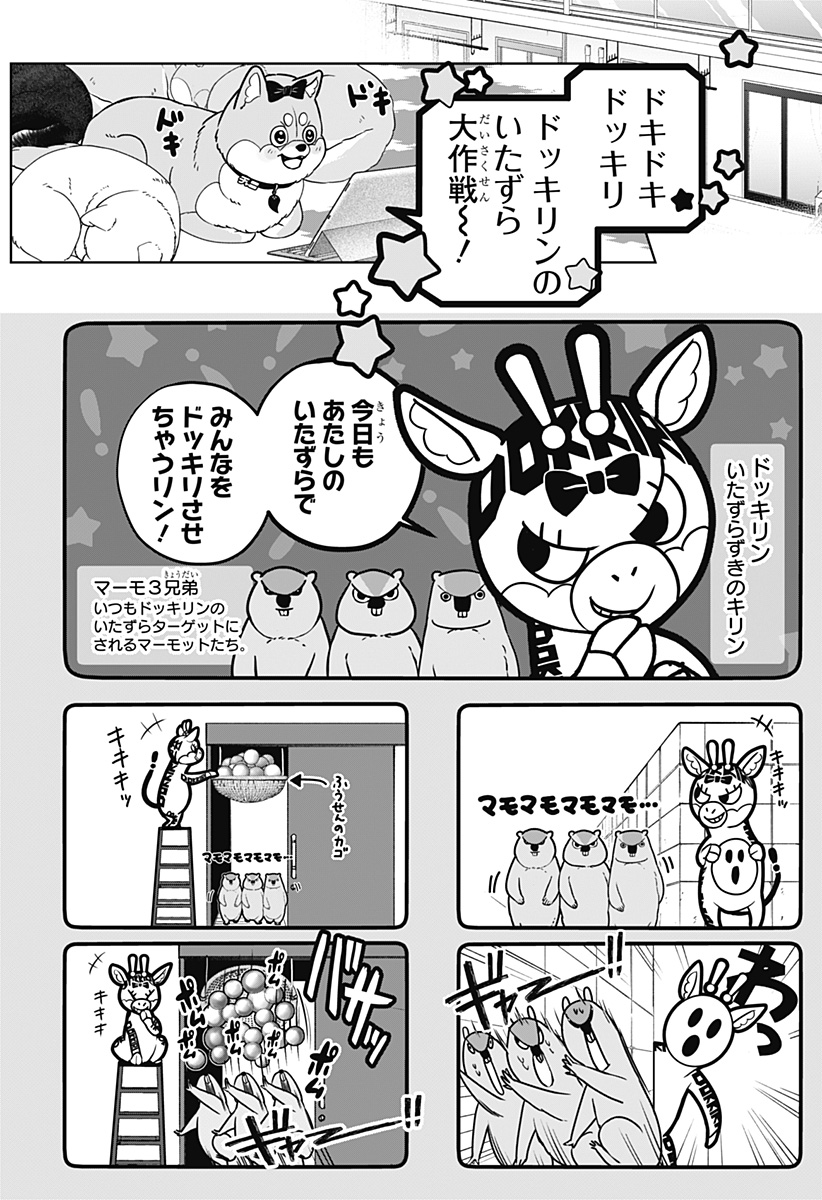 Shiba-Tsuki Bukken Chapter 33 4ページ