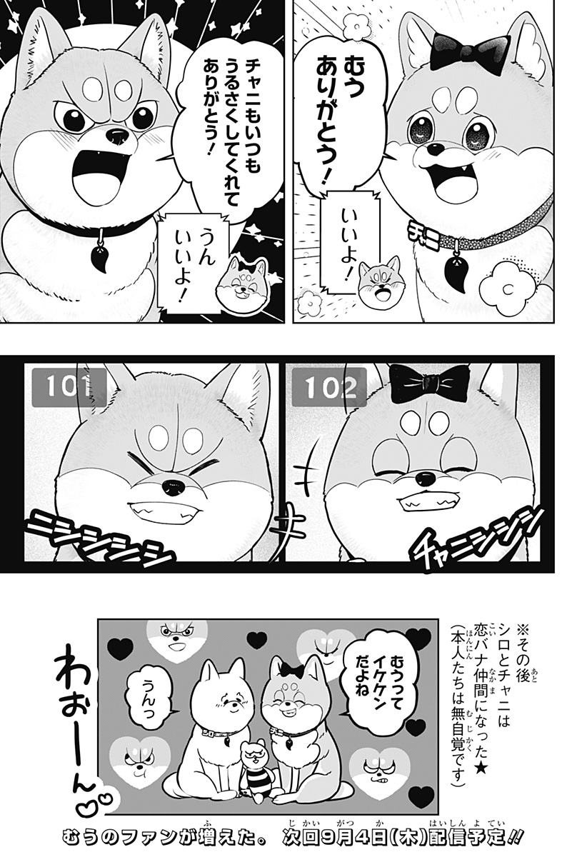 Shiba-Tsuki Bukken Chapter 33 33ページ