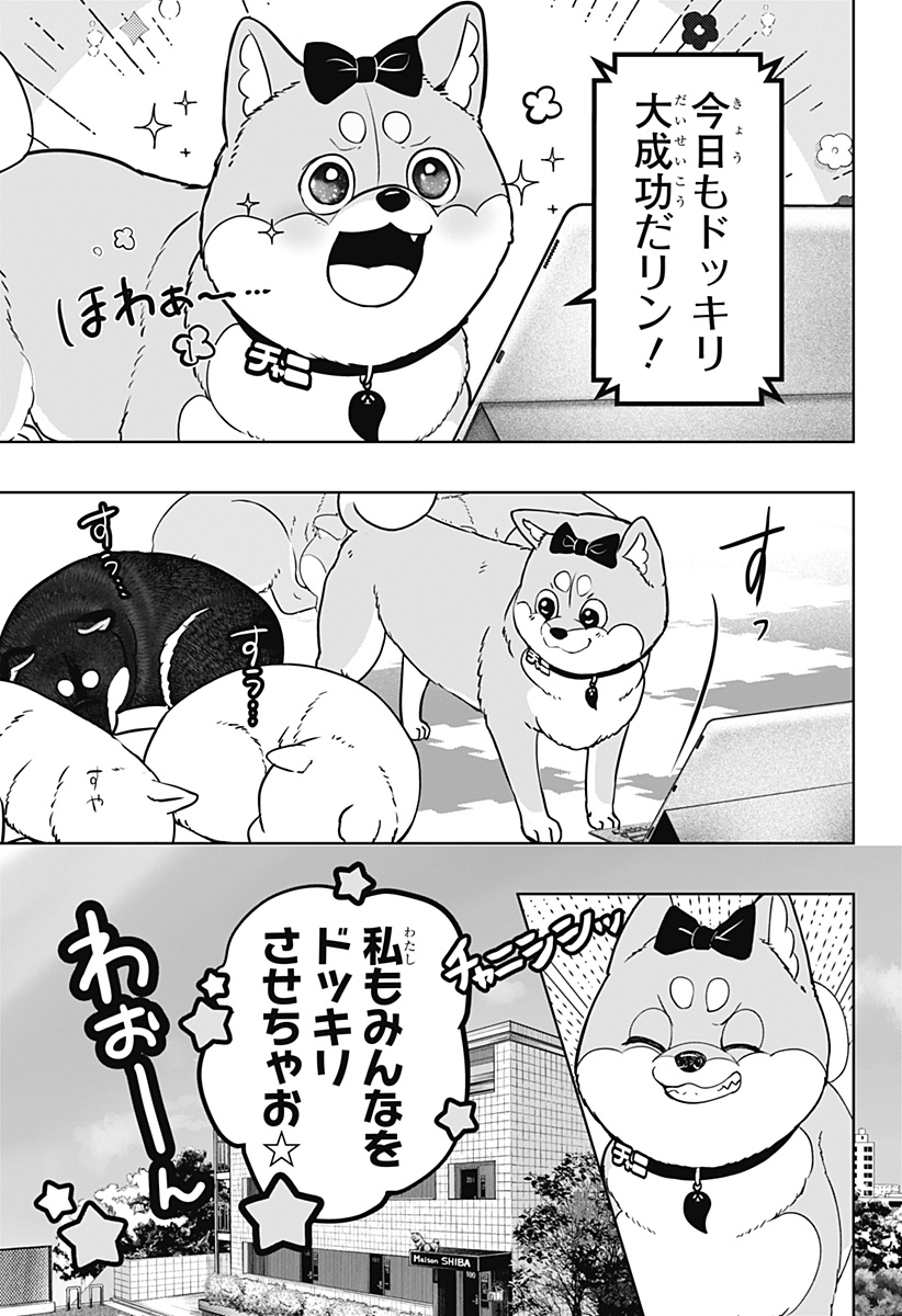 Shiba-Tsuki Bukken Chapter 33 5ページ