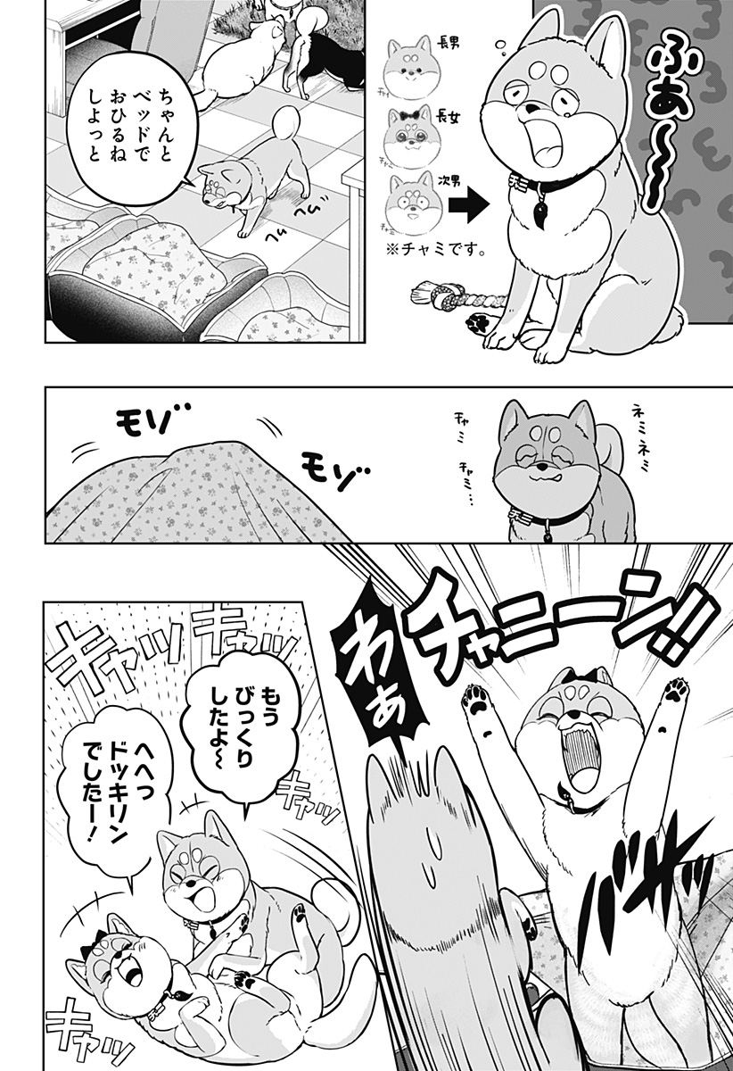 Shiba-Tsuki Bukken Chapter 33 6ページ
