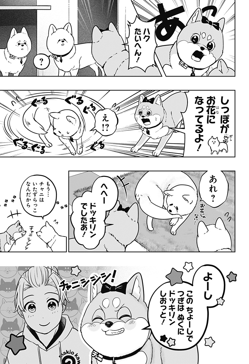 Shiba-Tsuki Bukken Chapter 33 7ページ