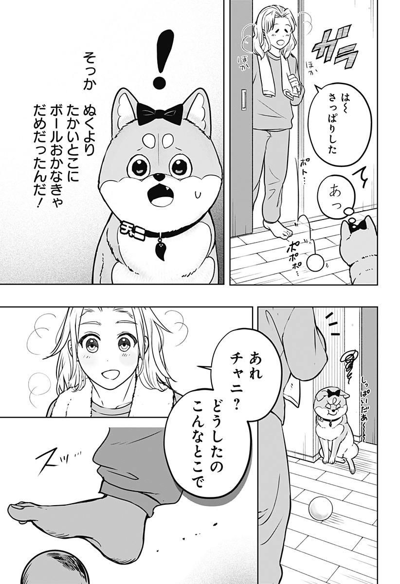 Shiba-Tsuki Bukken Chapter 33 9ページ