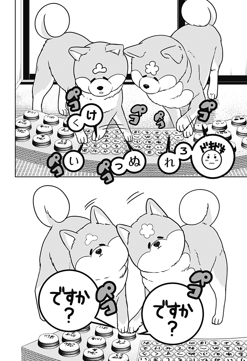 Shiba-Tsuki Bukken Chapter 35 12ページ