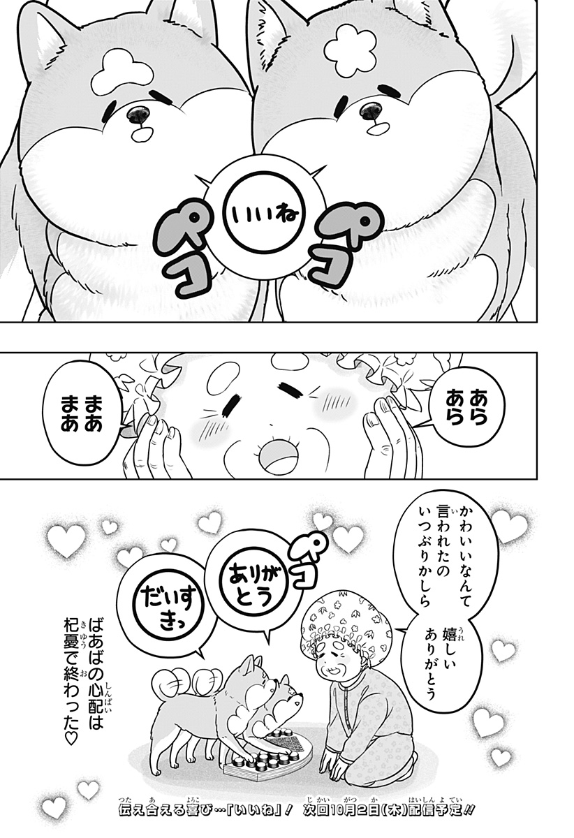 Shiba-Tsuki Bukken Chapter 35 29ページ
