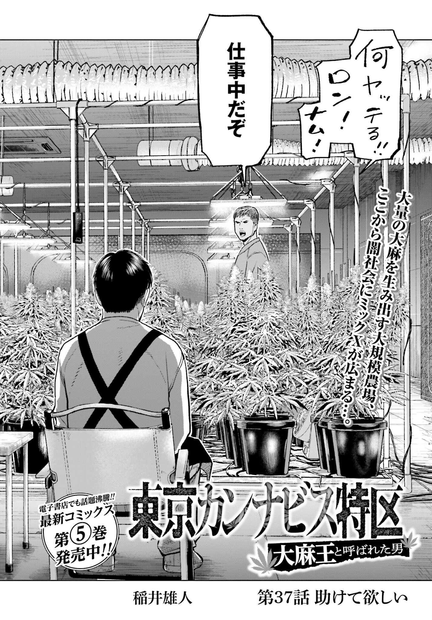 Tokyo Cannabis Tokku - Taimaou to Yobareta Otoko Chapter 37 2ページ