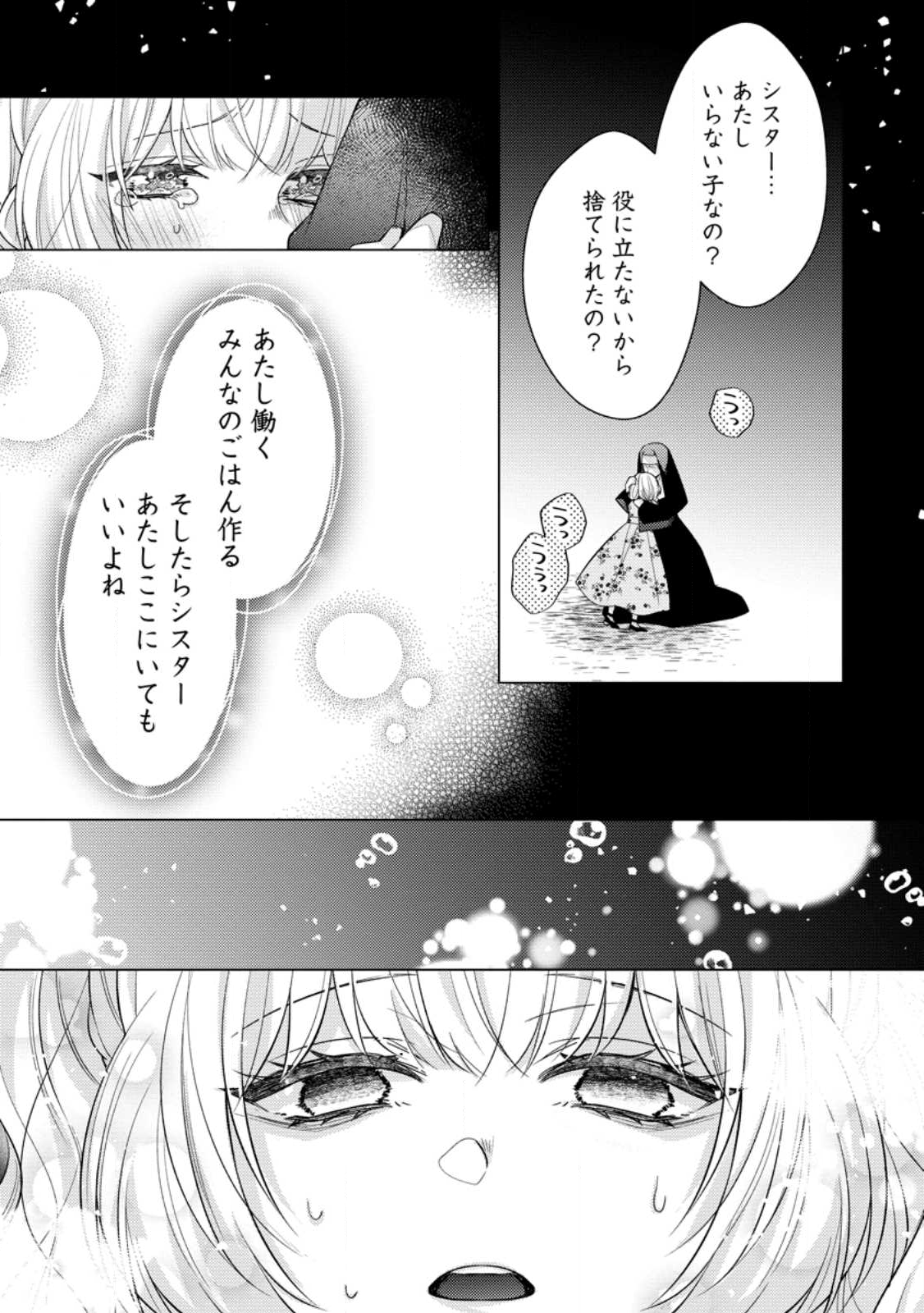 Hoshikuzu no Hanayome wa Unmei no Koi kara Nigedashitai - Ouji-sama to Kyousei Kekkon Nante Muri! Chapter 19.3 3ページ