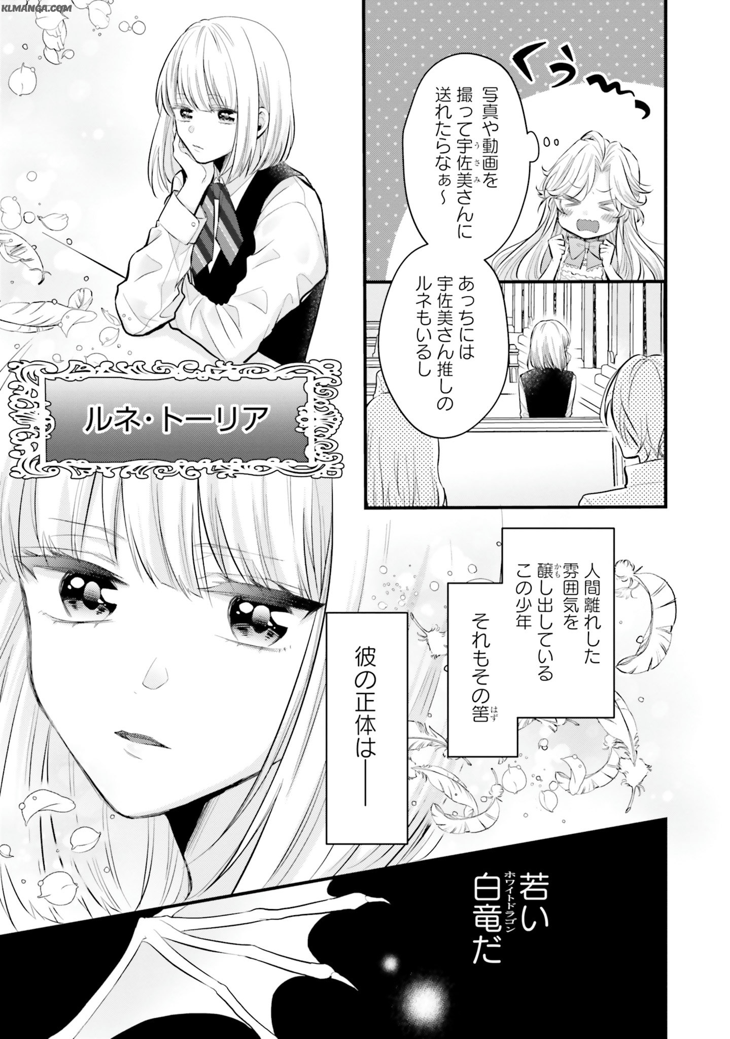 Akuyaku Reijou wa Isekai Tensei Shite mo Otome Game wo Tsukuritai! Otome Shumi wo Kakushite ita ore ga Doushite Makikomarete iru nodarou? Chapter 2 9ページ