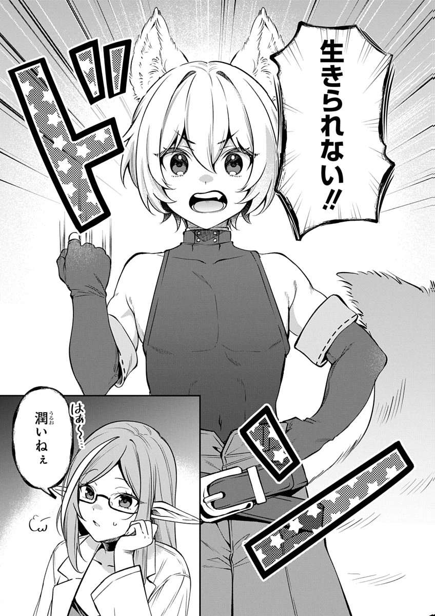 Arafoo Kenja no Isekai Seikatsu Nikki Zero - Swords & Sorceries World Chapter 1 11ページ