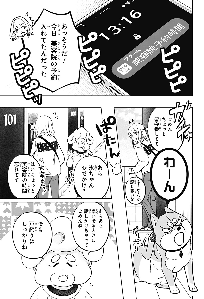 Shiba-Tsuki Bukken Chapter 37 5ページ