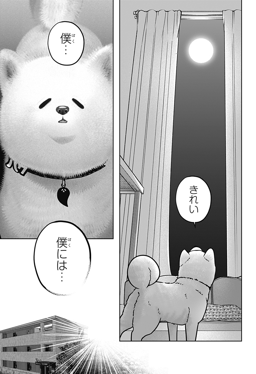 Shiba-Tsuki Bukken Chapter 39 7ページ