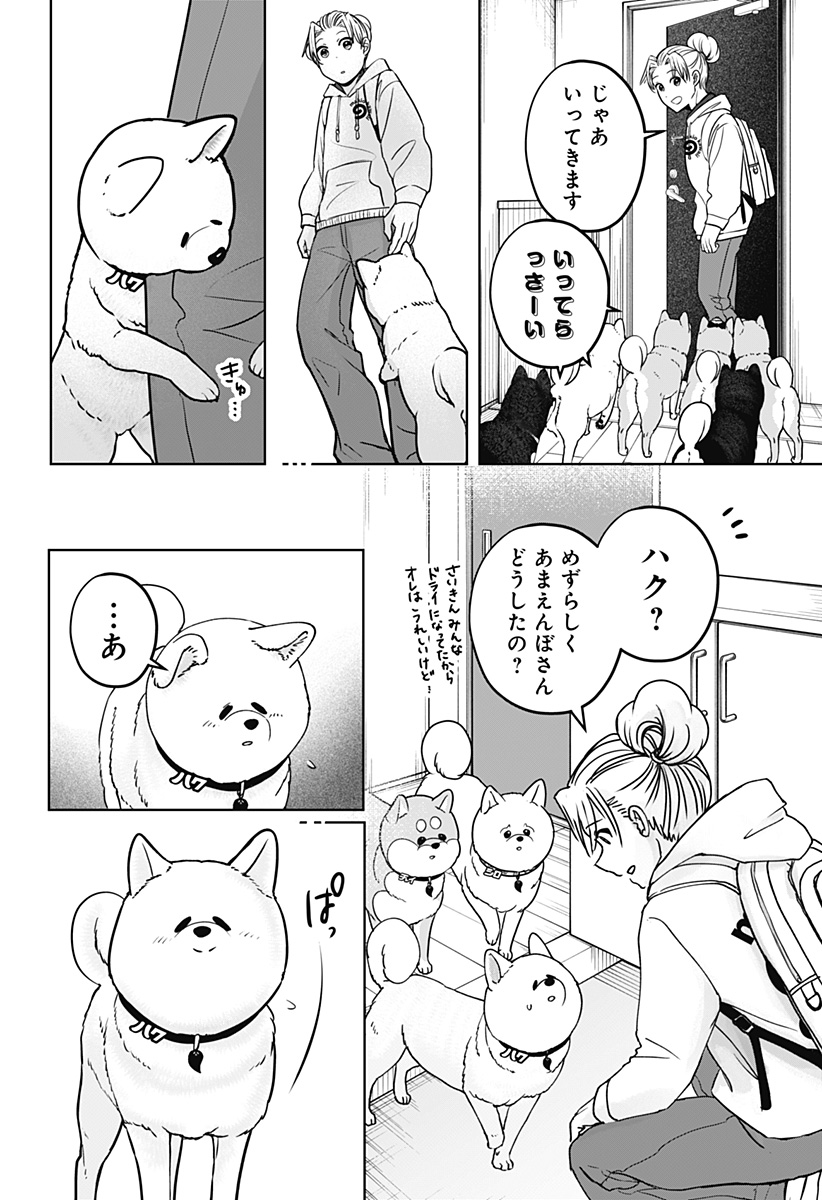 Shiba-Tsuki Bukken Chapter 39 8ページ