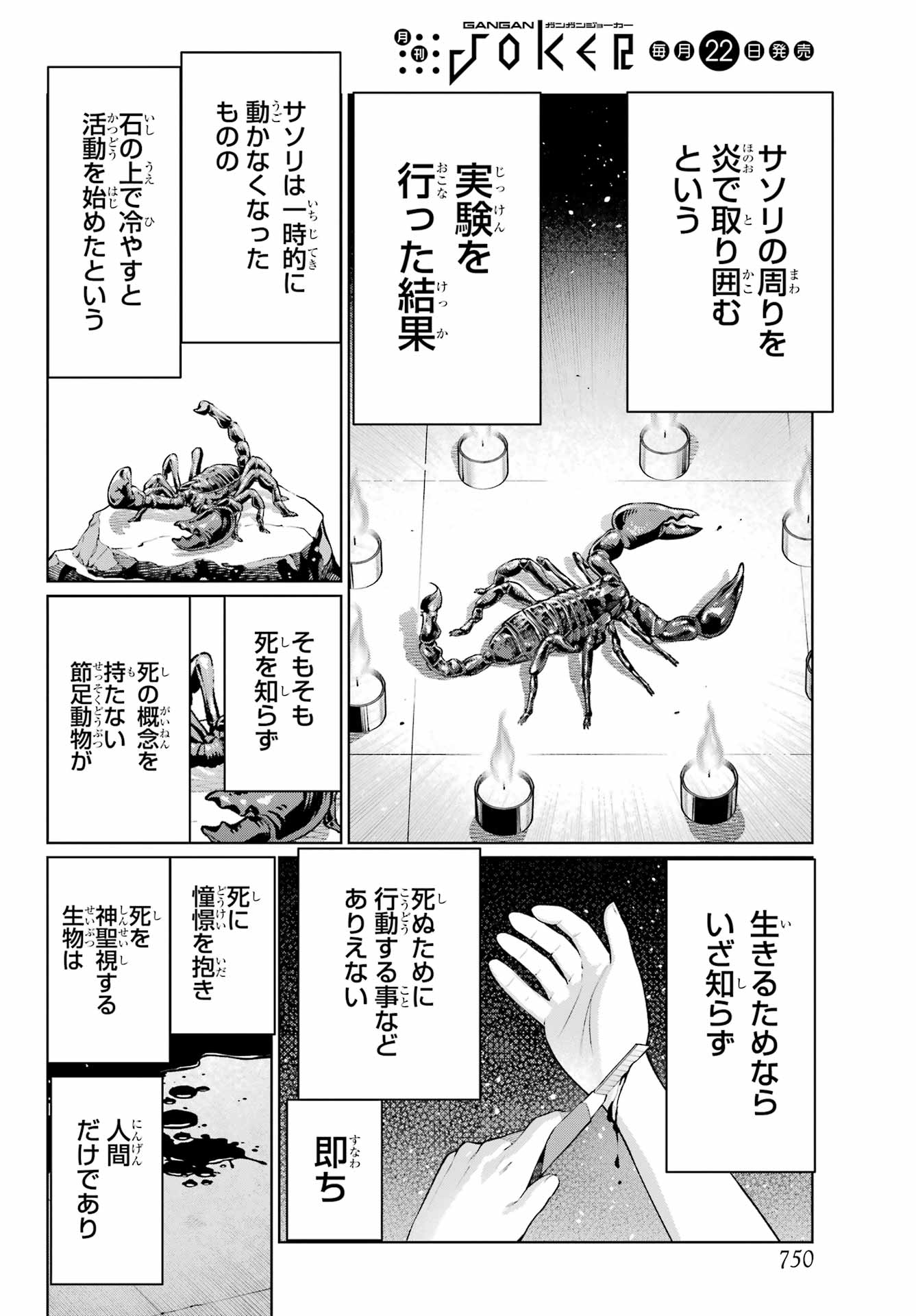Blattodea Chapter 40 26ページ