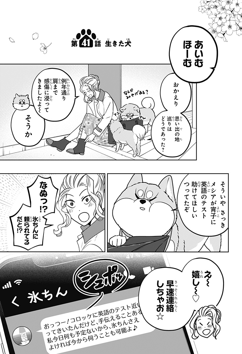 Shiba-Tsuki Bukken Chapter 41 5ページ