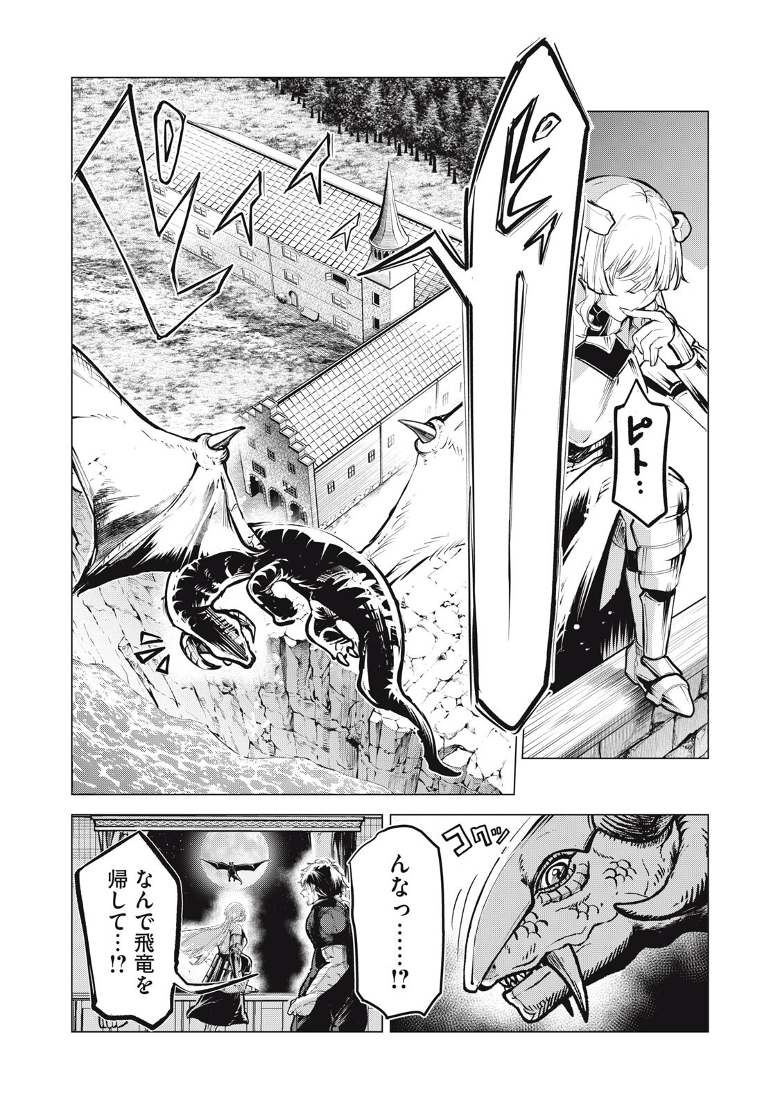 Kuni wo Owareta Ryuushi-san, Hirowareta Ringoku de Ukkari Musou shite Shimau. Chapter 44 11ページ