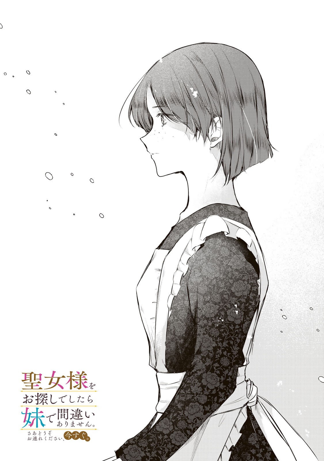 Seijo-sama o Osagashi deshitara Imouto de Machigai Arimasen. Saa, Douzo Otsure Kudasai, Ima Sugu. Chapter 44.1 1ページ