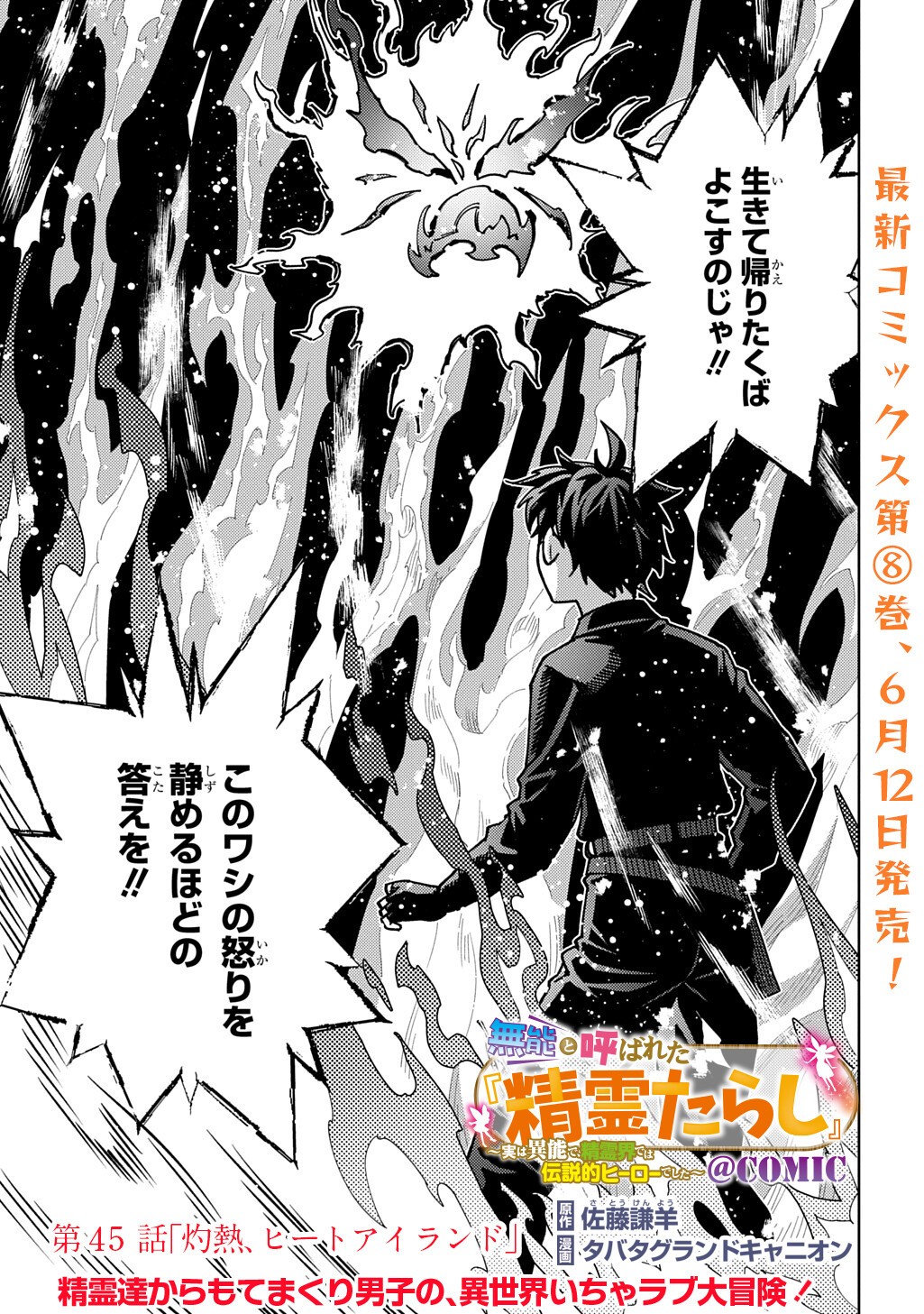Munou to Yobareta "Seirei Tarashi" - Jitsuwa Inou de, Seirei Kaide wa Densetsuteki Hero Deshita@COMIC Chapter 45.2 1ページ