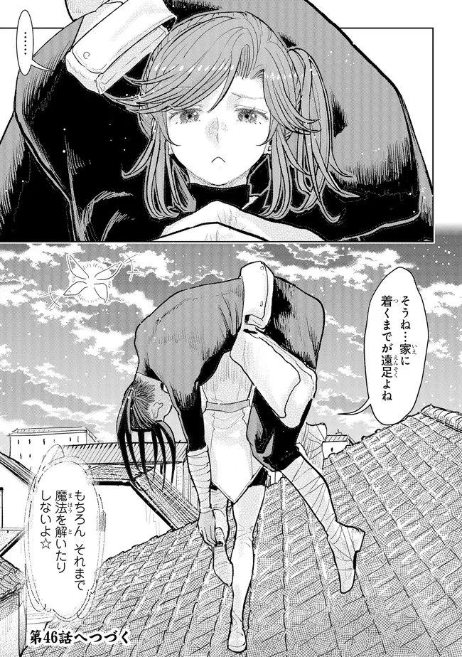 Kizoku Kara Shomin ni Natta no de, Konyaku wo Kaishou Saremashita! Chapter 45.3 9ページ