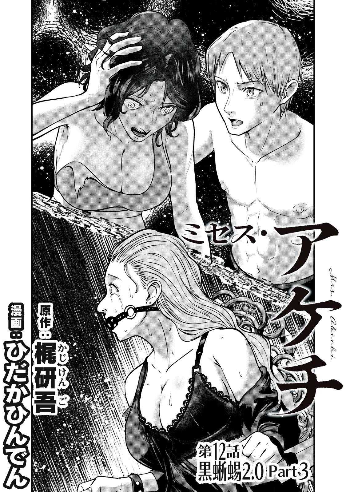 Mrs. Akechi Chapter 12 1ページ