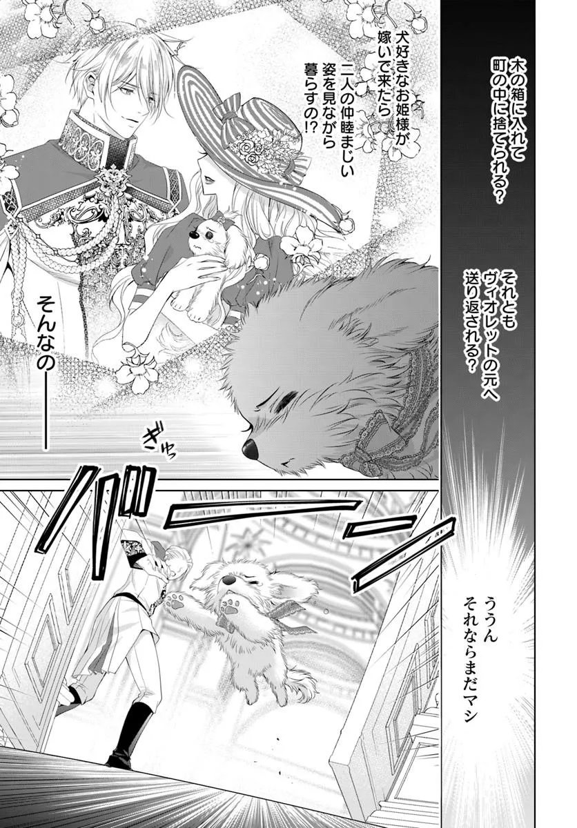 Kokuou Heika, Watashi wo Katte Kudasai! Chapter 12.1 9ページ