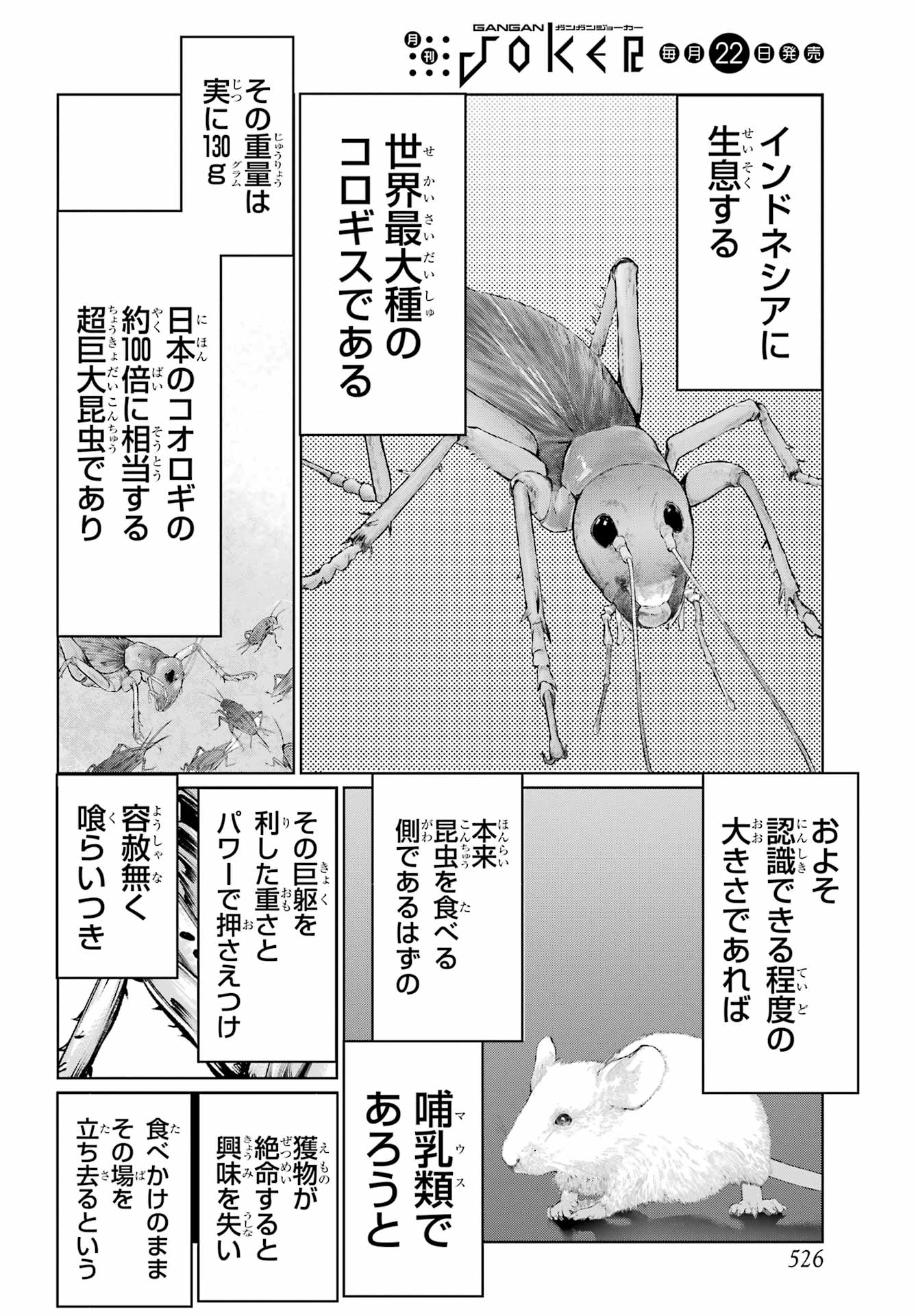 Blattodea Chapter 47.1 4ページ