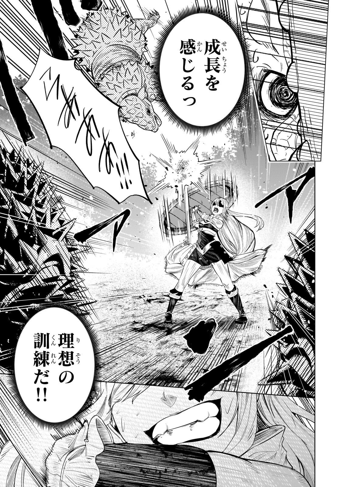 Tsuihou sareta S-kyuu Kanteishi wa Saikyou no Guild wo Tsukuru Chapter 51.2 5ページ
