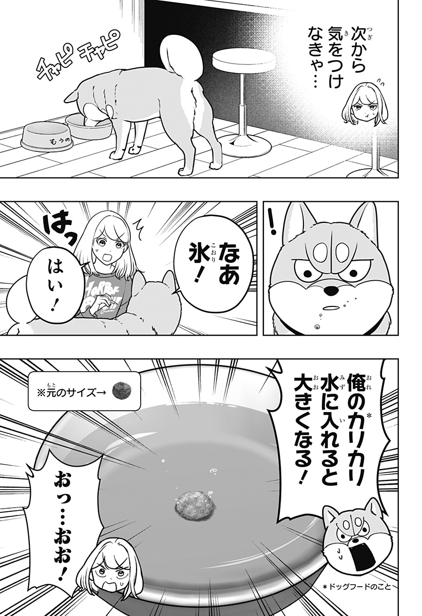 Shiba-Tsuki Bukken Chapter 49 11ページ