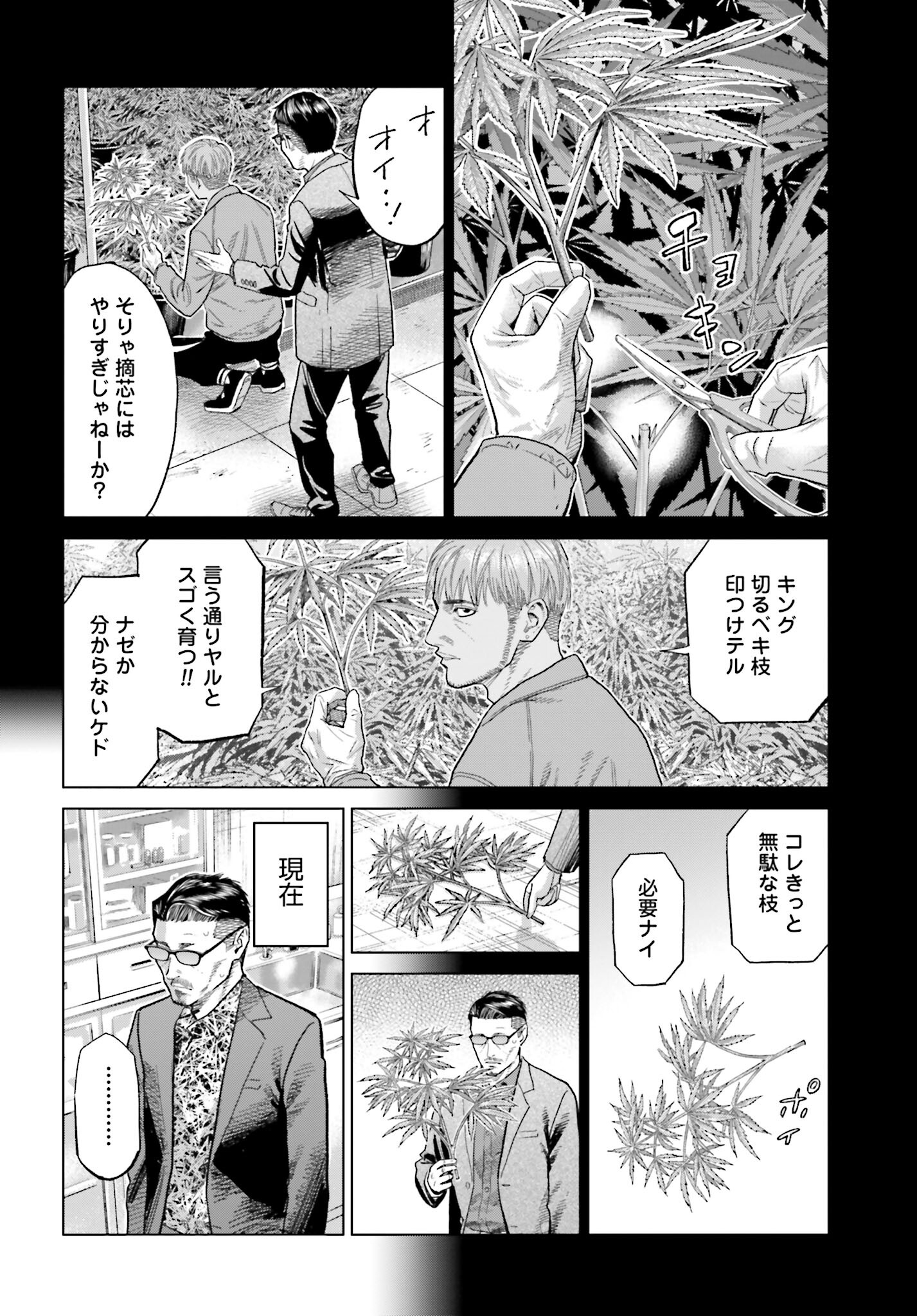 Tokyo Cannabis Tokku - Taimaou to Yobareta Otoko Chapter 51 12ページ